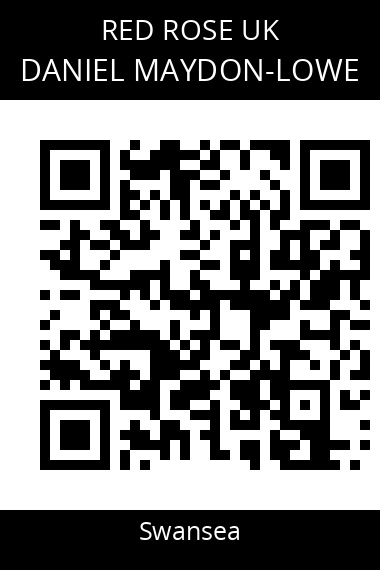 QR code for daniel-maydon-lowe