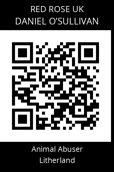 QR code for daniel-osullivan