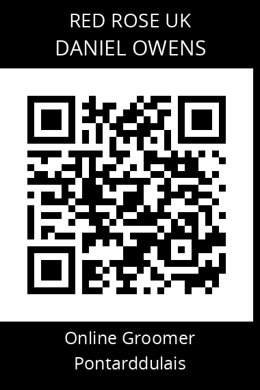 QR code for daniel-owens