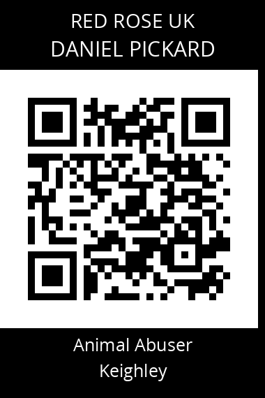 QR code for daniel-pickard