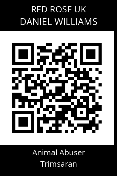 QR code for daniel-williams-4
