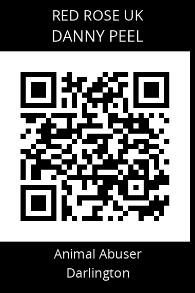 QR code for danny-peel