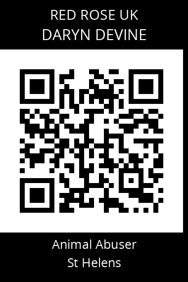 QR code for daryn-devine-1