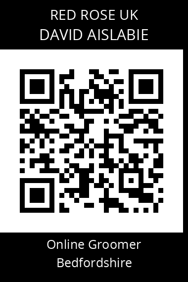 QR code for david-aislabie