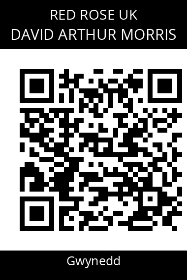 QR code for david-arthur-morris