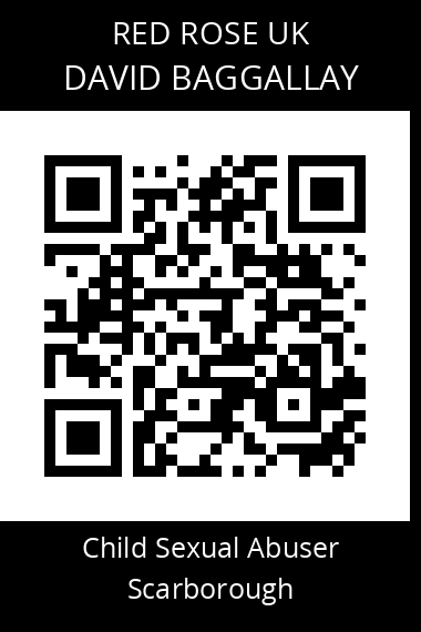 QR code for david-baggallay