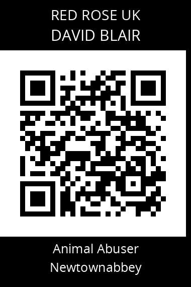 QR code for david-blair-1