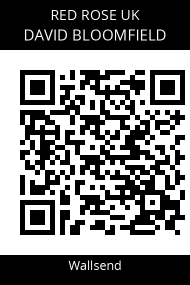 QR code for david-bloomfield-1