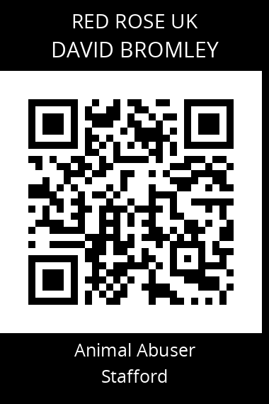 QR code for david-bromley