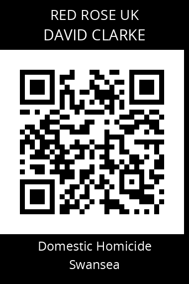 QR code for david-clarke-4