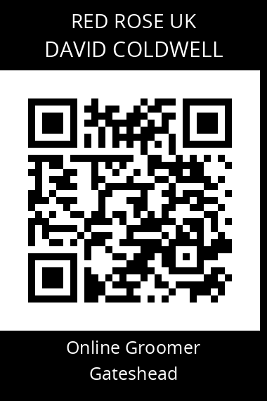 QR code for david-coldwell
