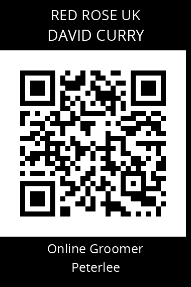 QR code for david-curry-4