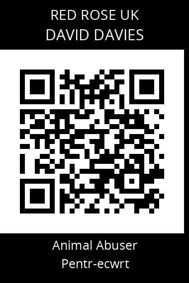 QR code for david-davies-8