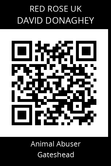 QR code for david-donaghey