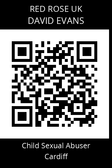 QR code for david-evans-2