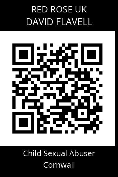 QR code for david-flavell