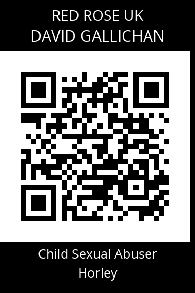 QR code for david-gallichan