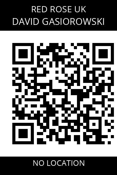 QR code for david-gasiorowski-6j9jgn