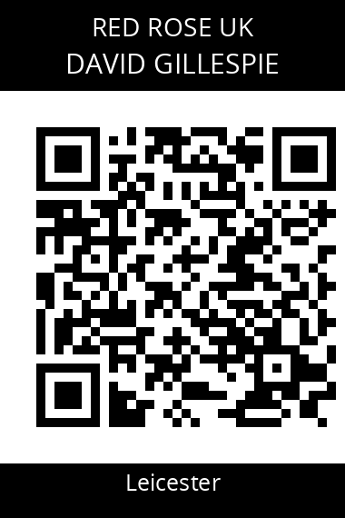 QR code for david-gillespie-fyd8oi