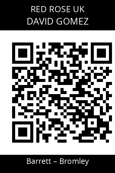 QR code for david-gomez-rft7sg