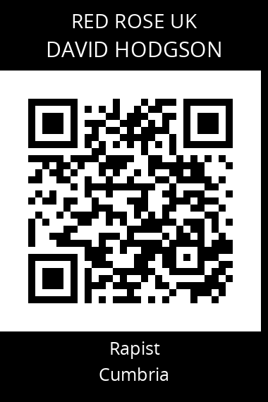 QR code for david-hodgson-2