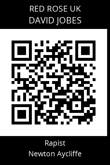 QR code for david-jobes