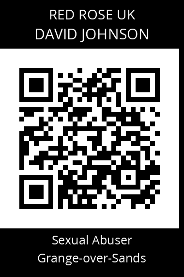 QR code for david-johnson-3