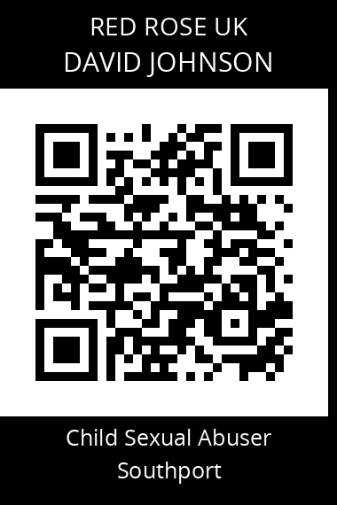 QR code for david-johnson-4