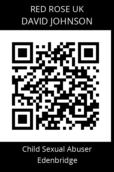 QR code for david-johnson-8