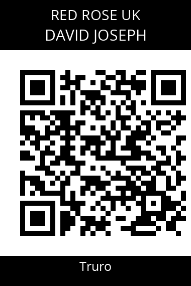 QR code for david-joseph-ghwmnm