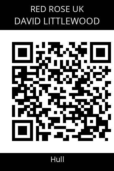 QR code for david-littlewood-2