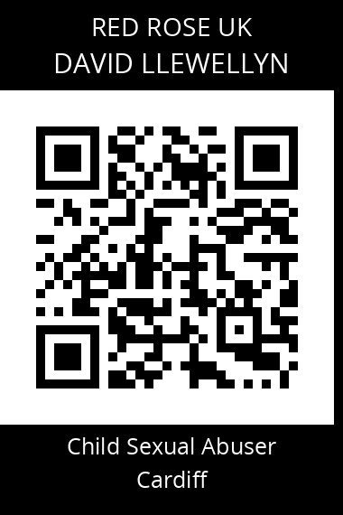 QR code for david-llewellyn