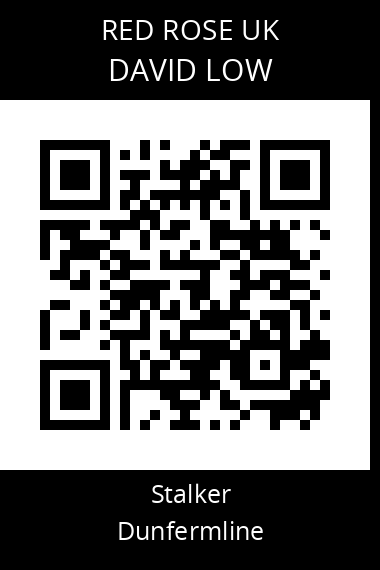 QR code for david-low
