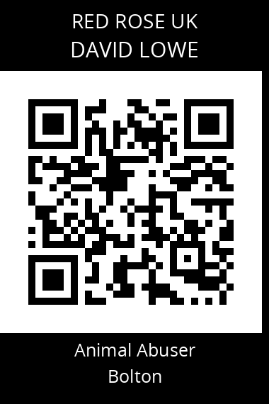 QR code for david-lowe-3