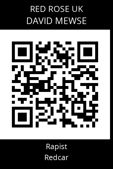 QR code for david-mewse