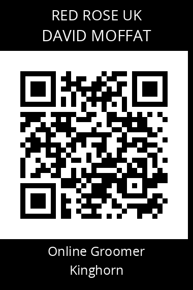QR code for david-moffat-1