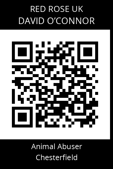 QR code for david-oconnor