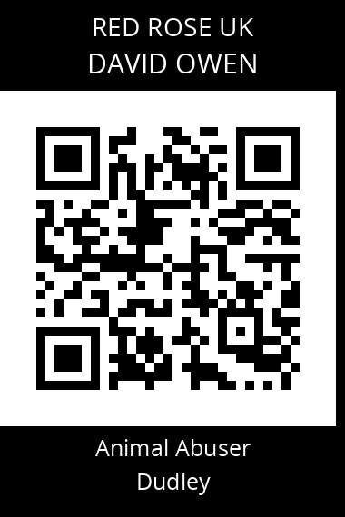 QR code for david-owen-5