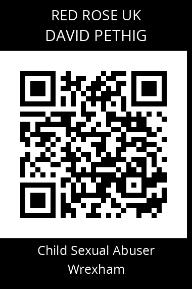 QR code for david-pethig