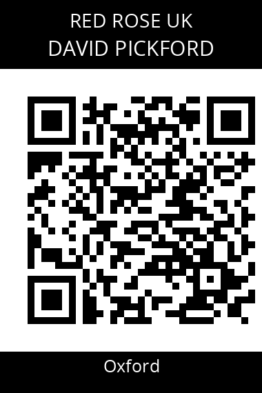 QR code for david-pickford-awhk99