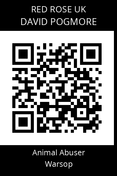 QR code for david-pogmore