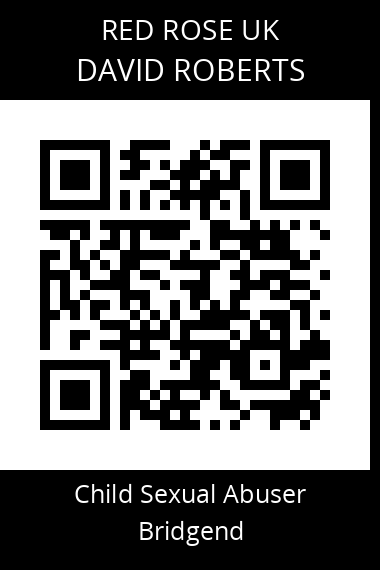 QR code for david-roberts-11