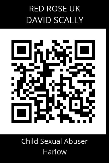 QR code for david-scally