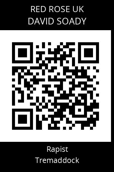 QR code for david-soady