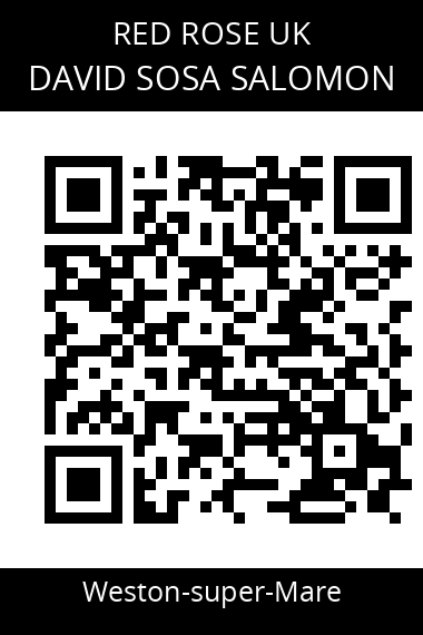 QR code for david-sosa-salomon