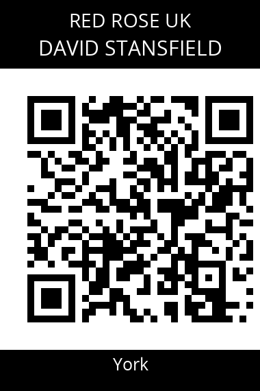 QR code for david-stansfield-3