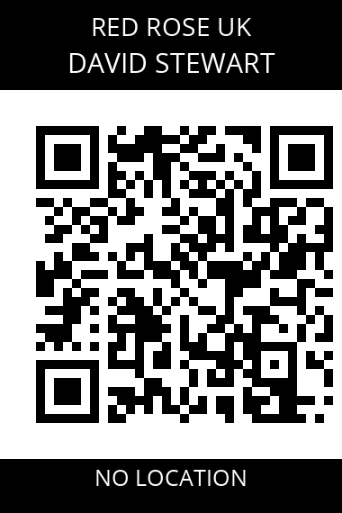 QR code for david-stewart-6adbgt