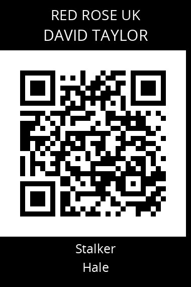 QR code for david-taylor-28