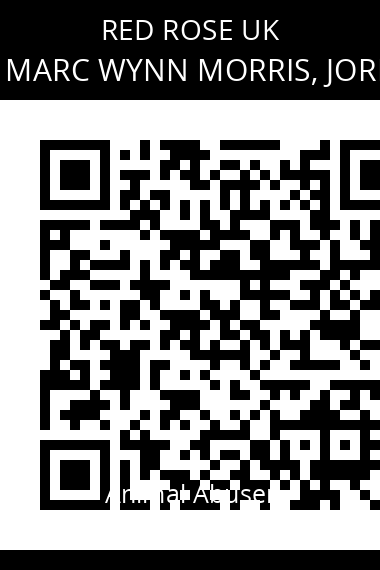 QR code for david-thomas-marc-wynn-morris-jordan-houlston