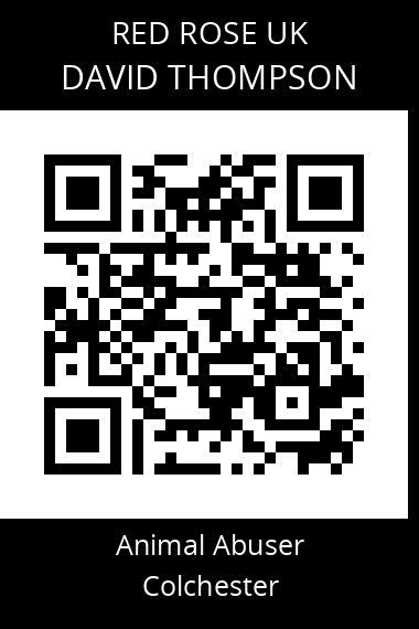 QR code for david-thompson-9